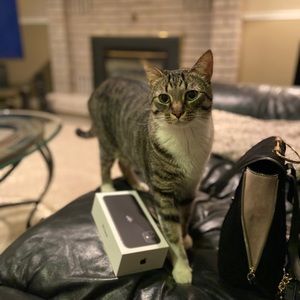 Meet your Posher, Deirdre